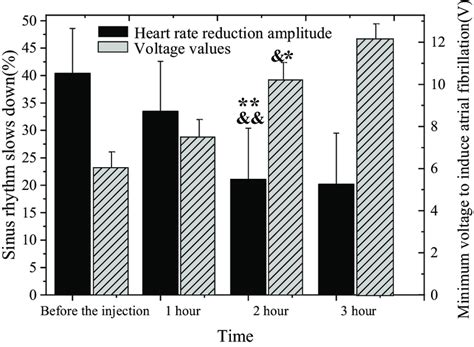 MNPs microinjection results (&: compared with that before injection, P ...