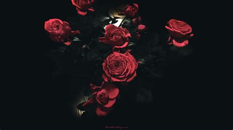 Skull With Roses posted by Zoey Anderson, gothic rose HD wallpaper | Pxfuel