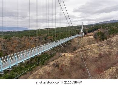 177 Mishima Skywalk Images, Stock Photos, 3D objects, & Vectors | Shutterstock