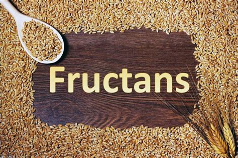 Separating the wheat from the chaff: Fructan molecules & gluten ...