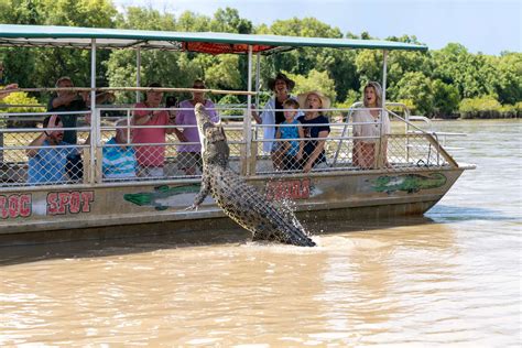 Jumping Crocodile Cruise