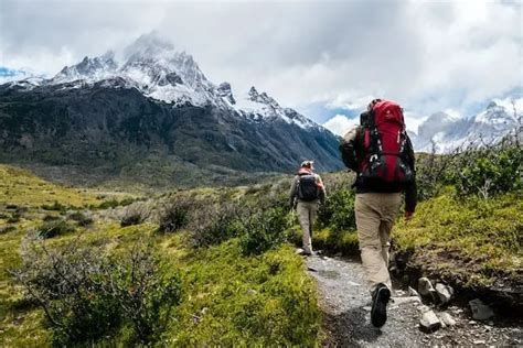 Waterproof Hiking Pants - Orienteering