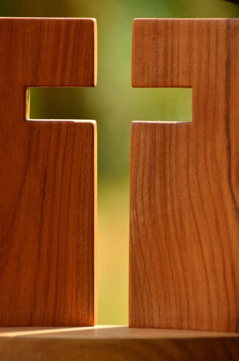 Free Images : wood, flower, live, green, symbol, religion, yellow ...