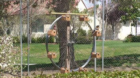 Ferris Wheel Bird Feeder | Garden bird feeders, Squirrel feeder diy, Bird feeders