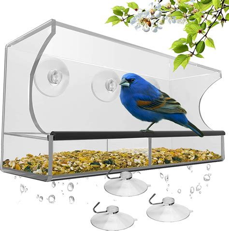 Window Bird Feeder with Strong Suction Cups and Seed Tray, Outdoor ...