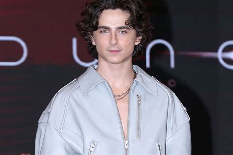 First Look Timothée Chalamet Bob Dylan Surfaced | Hypebeast