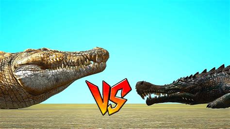 Deinosuchus Vs Sarcosuchus