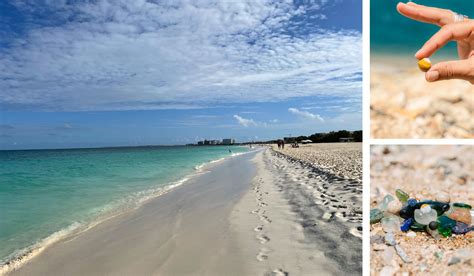 Aruba: One Happy Island – Beachcombing Magazine