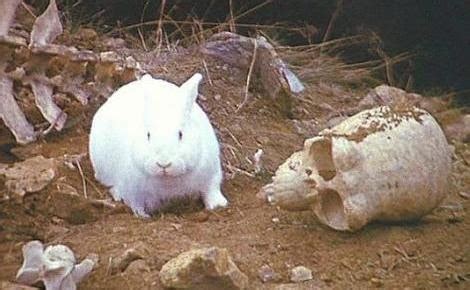 1/72 Multiverse: The Rabbit of Caerbannog