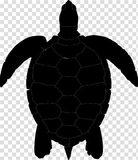 Sea Turtle Background Clipart Turtle Silhouette Illustration | Images ...