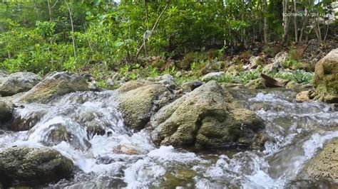 4 Hour Gentle Relaxing River Sounds use for Relaxation, Sleep ...