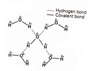 Hydrogen Bonding | Chemistry Skills