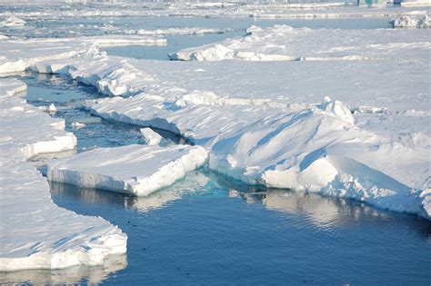 Arctic Ocean likely to become ice-free in the summer for first time ...