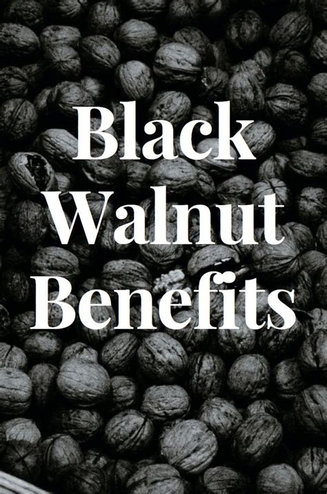 Black walnut benefits – Artofit