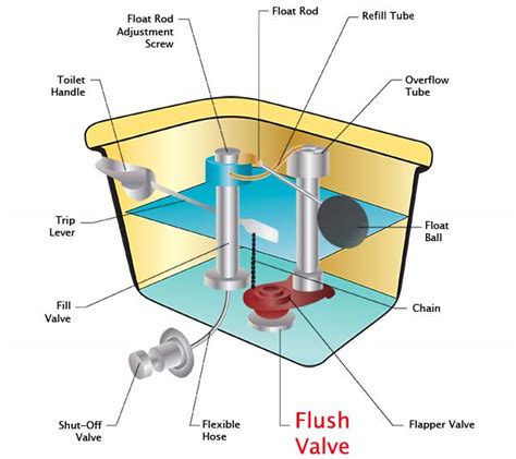 Toilet Flush Valve: What is it and what does it do? - Toiletology