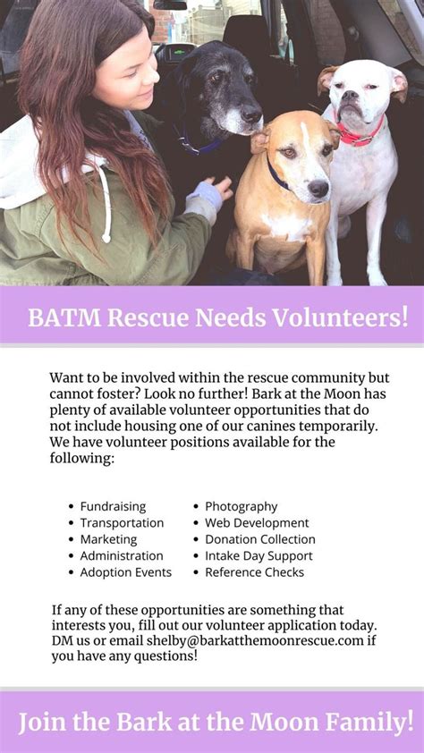 Volunteer for an animal rescue ! | Bark at the moon, Animal rescue, Volunteer