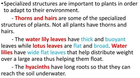 Characteristics of terrestrial plants