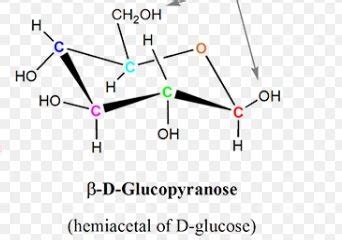 Draw the eyclic hemiacetal structure of glucose.