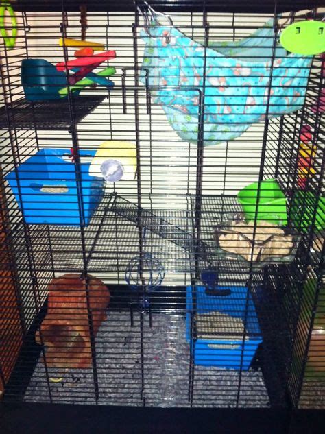 33 Rat Habitats ideas | pet rats, rat cage, pet cage