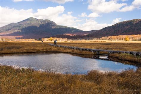 Oze National Park in Autumn - RIDGELINEIMAGES.com