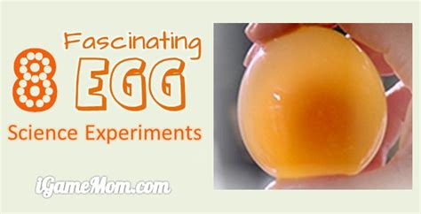 8 Fascinating Egg Science Experiments for Kids