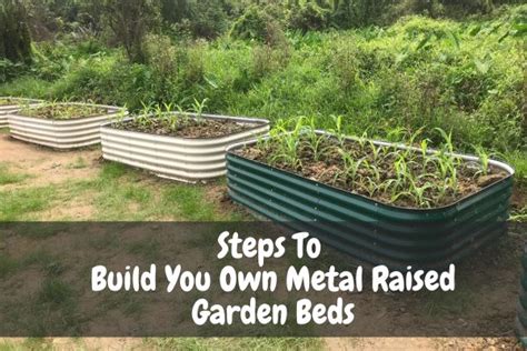 Steps To Build You Own Metal Raised Garden Beds - Wholesale raised ...