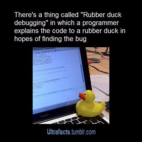 there's a thing called rubber duck debugging in which a programming program explains the code to ...