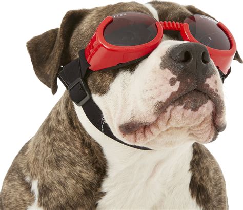 DOGGLES ILS Dog Goggles, Red, Large - Chewy.com