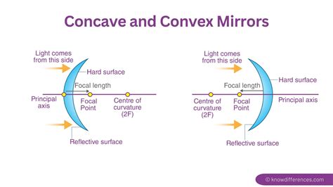 Difference Between Concave And Convex Mirror