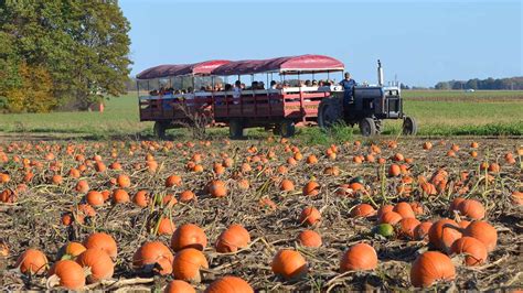 Farm Field Trips - Ramseyer Farms