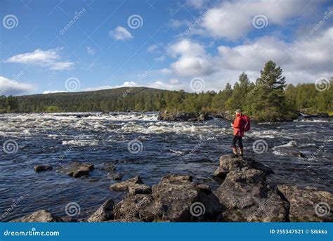 Woman Hiking in Lapland Finland Stock Image - Image of national, grass: 255347521