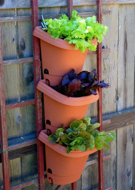 Mixed Lettuce Gardens for Small Spaces / Edibles | Fiskars | Container gardening, Little gardens ...