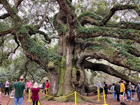 There's really no other feeling in the world quite like standing next to the gargantuan and ...