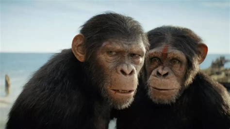 Planet Of The Apes Series: Ahead Of Watching Kingdom Of The Planet Of The Apes, Timeline ...