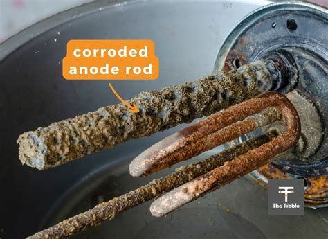 How Long Should An Anode Rod Be? – The Tibble