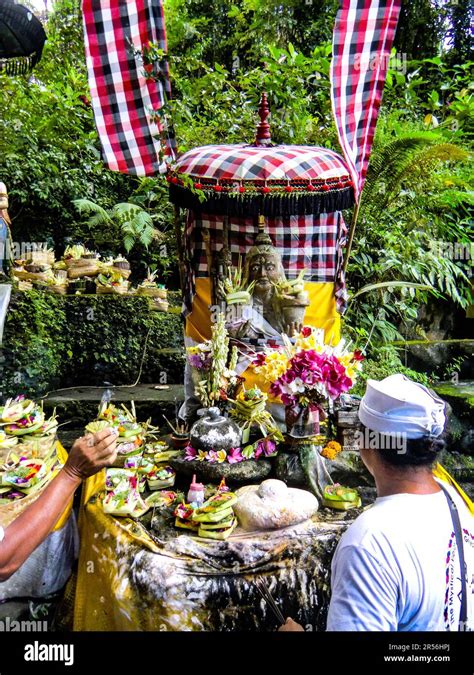 Bali Hinduism, devout people praying in Taman Beji Griya Waterfall with Brahmin priest in white ...