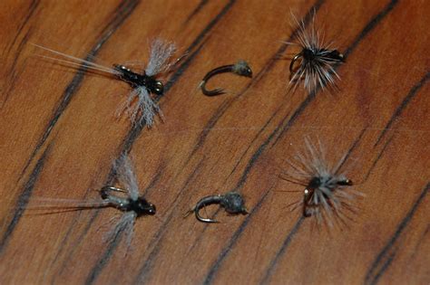 Trico Mayfly Patterns | Flickr - Photo Sharing!