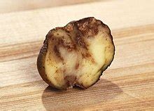 Highland Potato Famine - Wikipedia