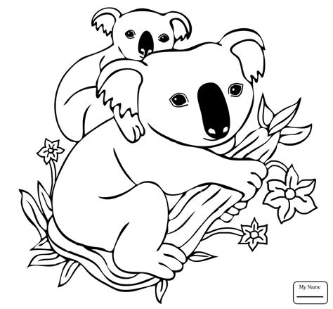 Koala Drawing Step By Step at GetDrawings | Free download