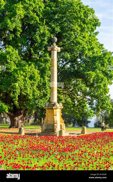 2018 Remembrance Day Poppy Project display of handcrafted poppies in Kings Park Perth Western ...