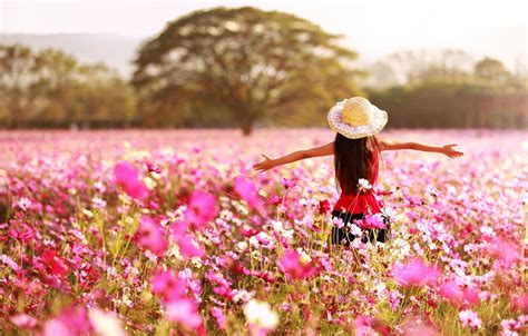 Wallpaper girl, field, flowers, spring images for desktop, section ...