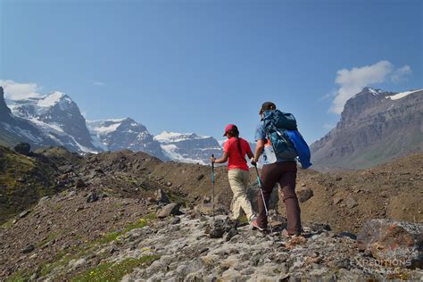 Summer Hiking Trips: 8 Planning Tips For Beginners | Hiking Bay