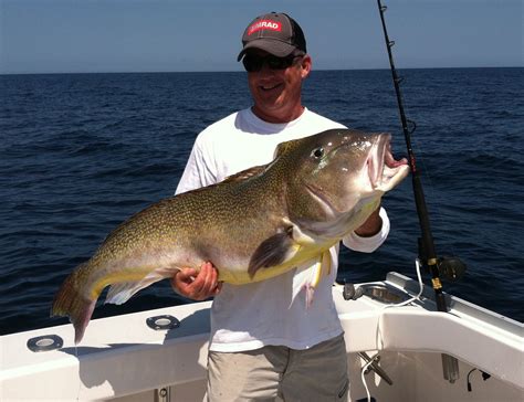 UPDATED Tilefish Rigs Only or Tilefish Rigs and Weight Package limited ...