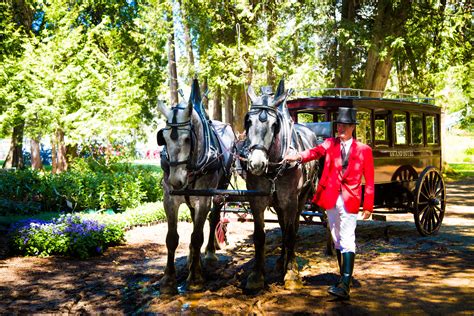 Step back in time at Grand Hotel. #grandhotelmichigan #mackinacisland # ...