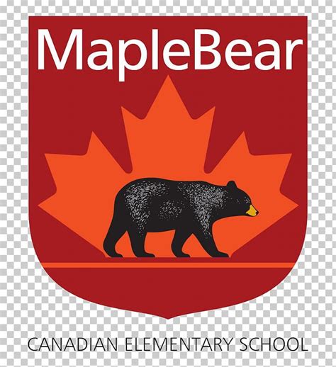 Maple Bear Canadian School Education Pre-school Kindergarten PNG, Clipart, Bear, Brasilia ...