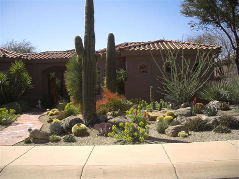 nice design | Xeriscape landscaping, Desert landscaping, Arizona ...