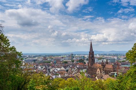 12 PhD positions at Freiburg University | European Forest Institute