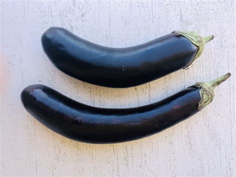 Eggplant | Big