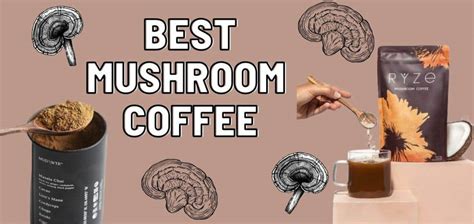 Best Mushroom Coffee - Benefits of Ryze, Four Sigmatic & MUD/WTR - Drug ...