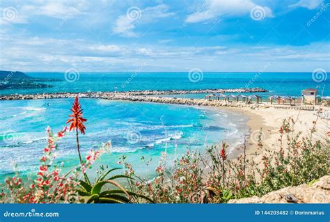 Hilton Bay Beach on Tel Aviv Stock Photo - Image of place, nature ...